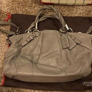 Metallic Coach purse